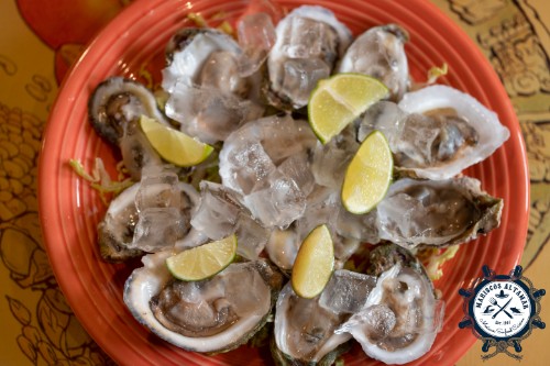 6 Fresh Oysters