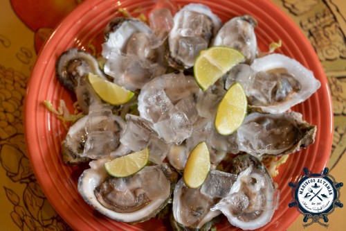 6 Fresh Oysters