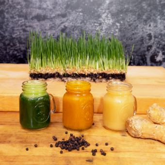 Wheat Grass Shot
