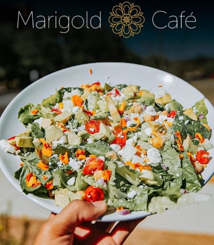 The Marigold Salad