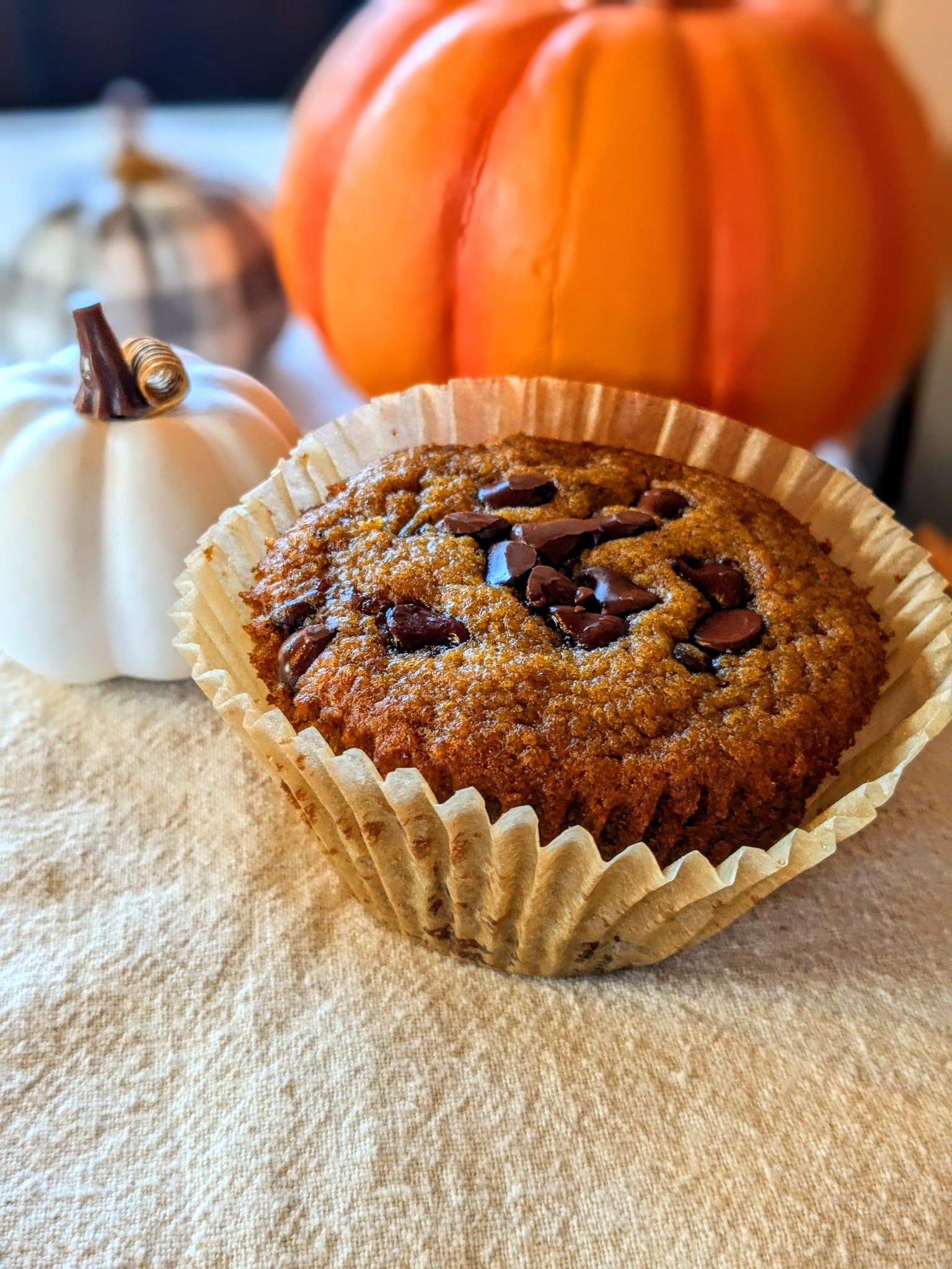 Pumpkin chocolate chip muffin