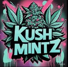 Kush Mintz 🔥