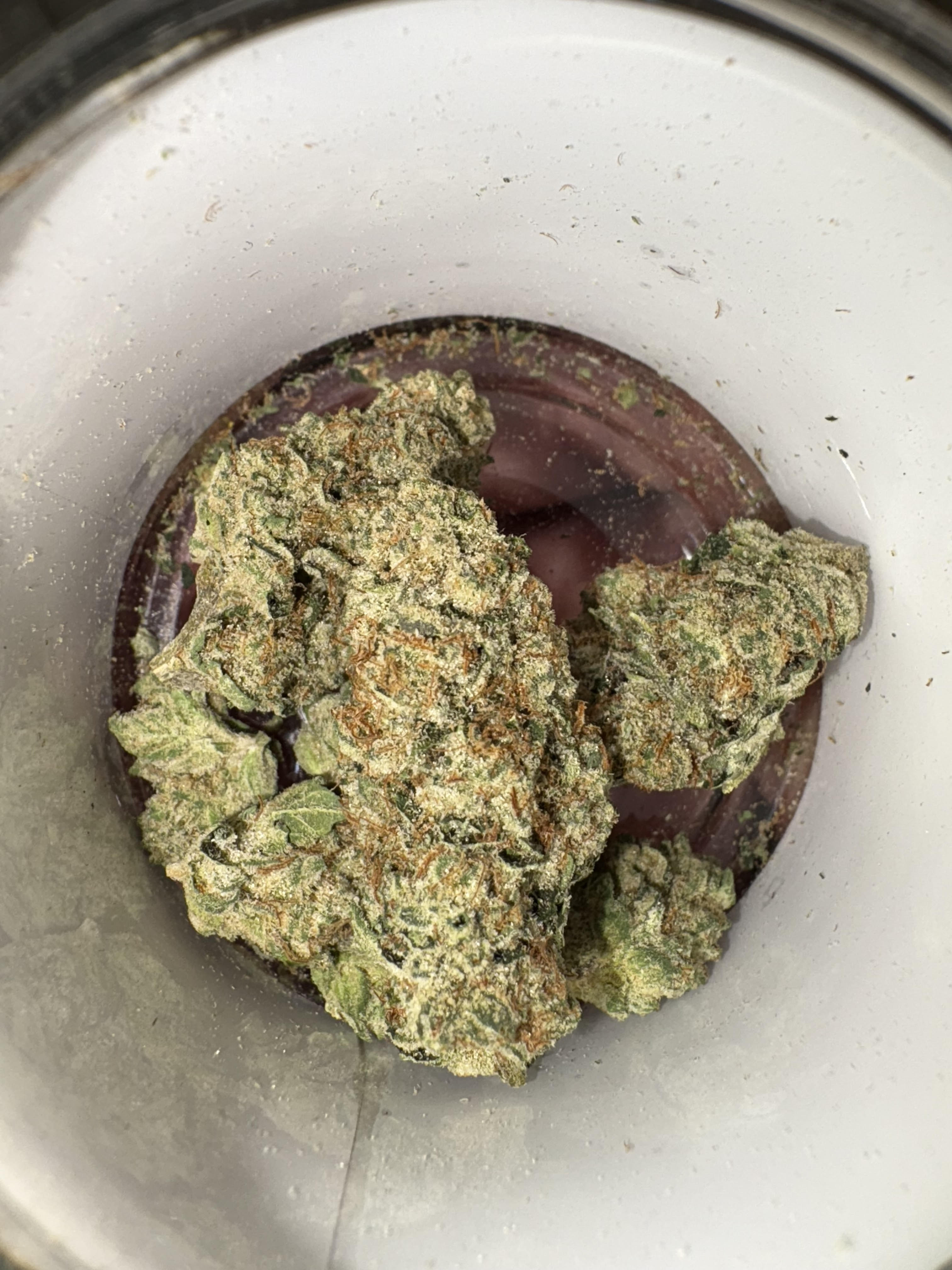 Alien Sherbet