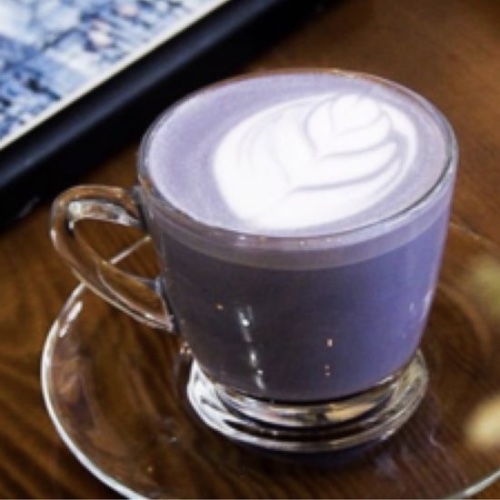 Taro Latte Hot