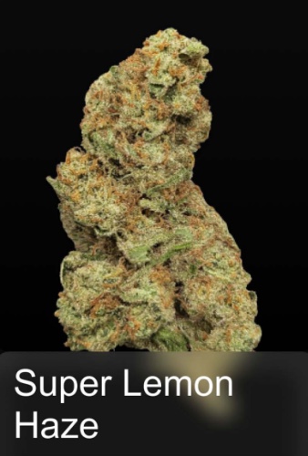 Super Lemon Haze