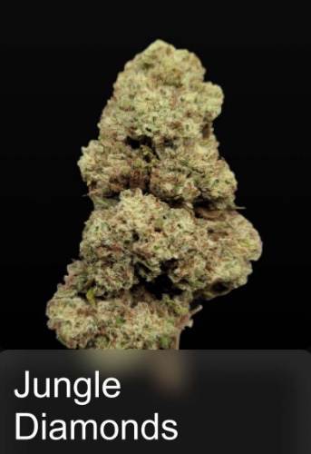 Jungle Diamonds