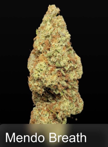 Mendo Breath