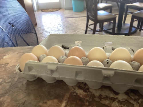 Eggs  Local