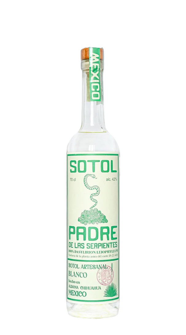 Sotol Padre de las Serpientes