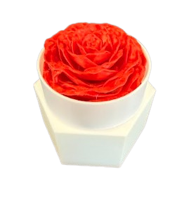 Rose Box