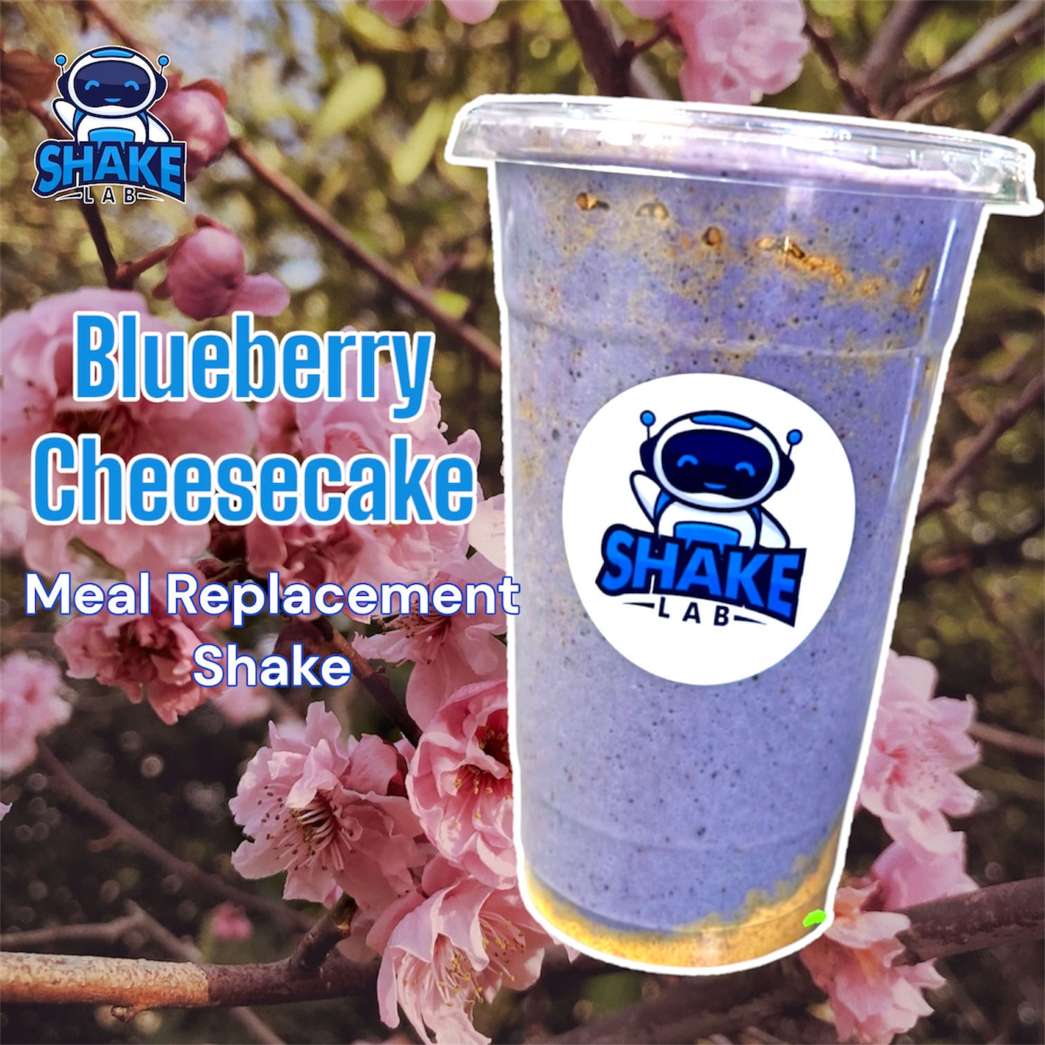 Blueberry Cheesecake