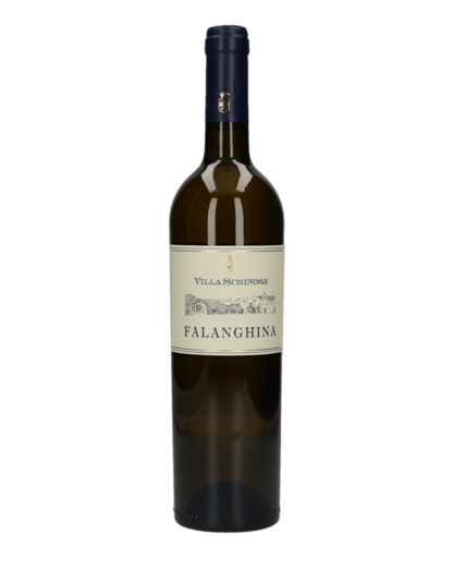 Falanghina GLASS