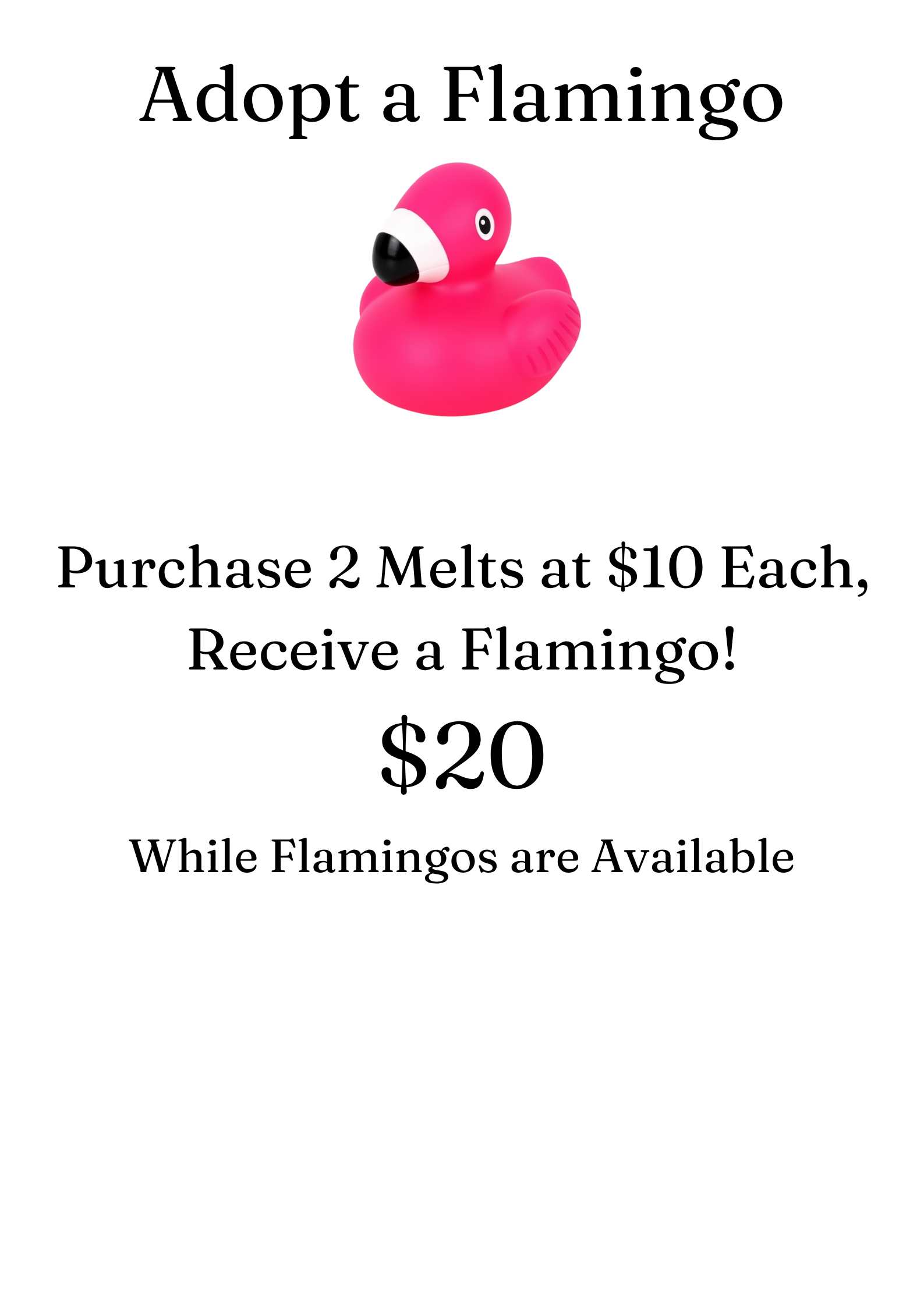 Adopt a Flamingo