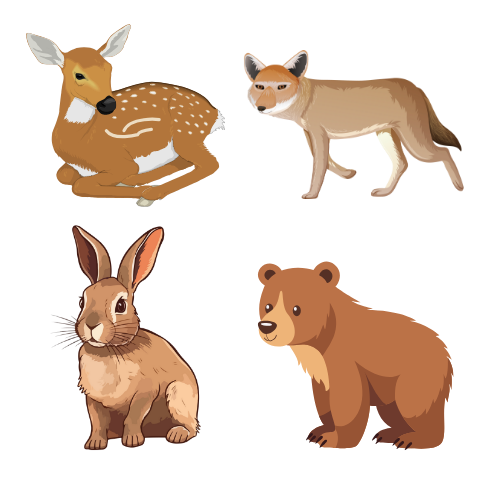 Session 3: Farm Life: Caring for Animals & Making Food July 6-10