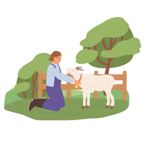 Session 4: From Animal to Everyday (July 13-17)