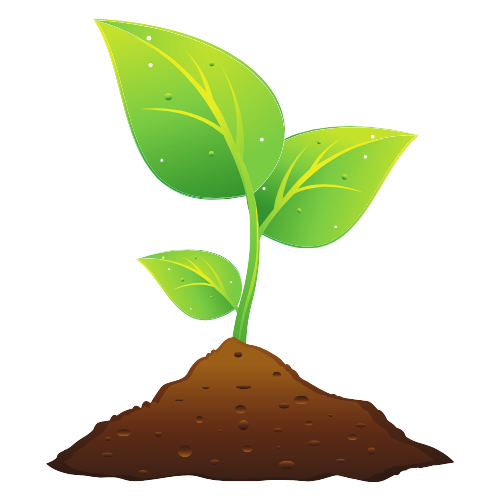 Session 2:  Slow Food on the Farm (June 29 - July 3)