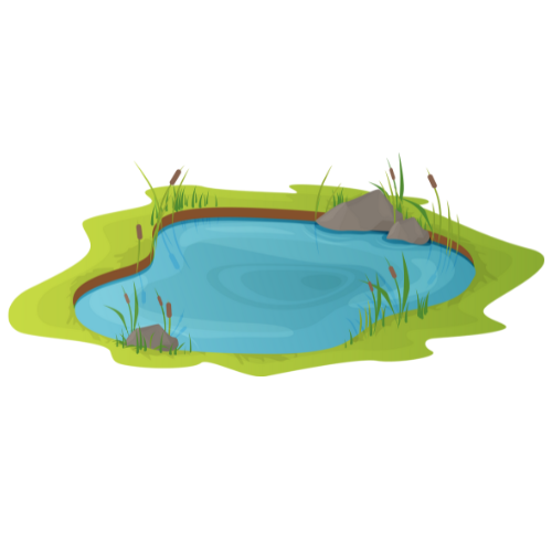 Session 8: Maps, Markers & Secret Trails (Aug 10 - 14)