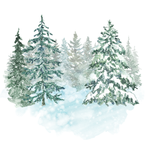 Mid-Winter Break Camp: February 12-13