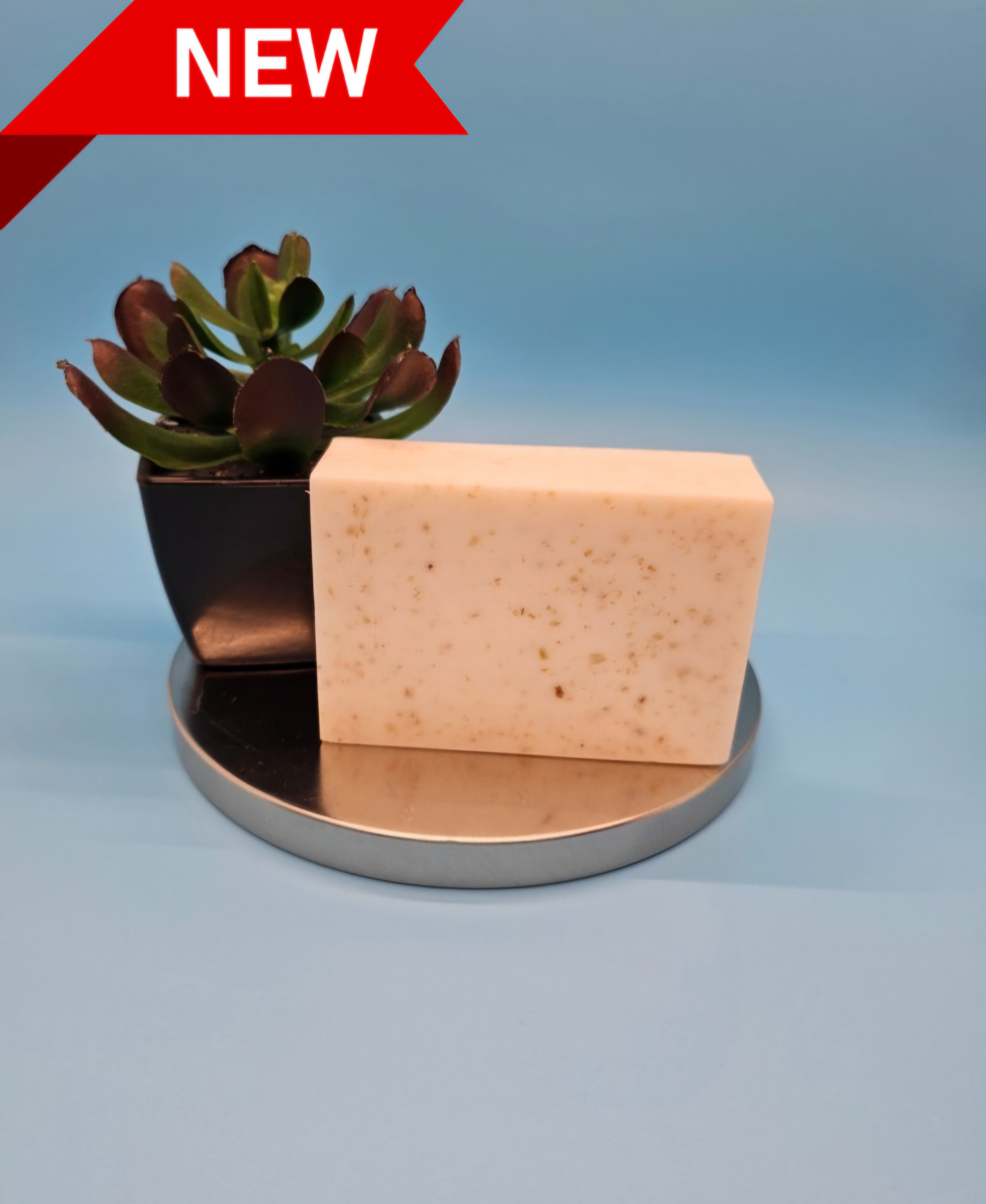 Handmade Seamoss Soap (Coconut/Vanilla) - 6 pack